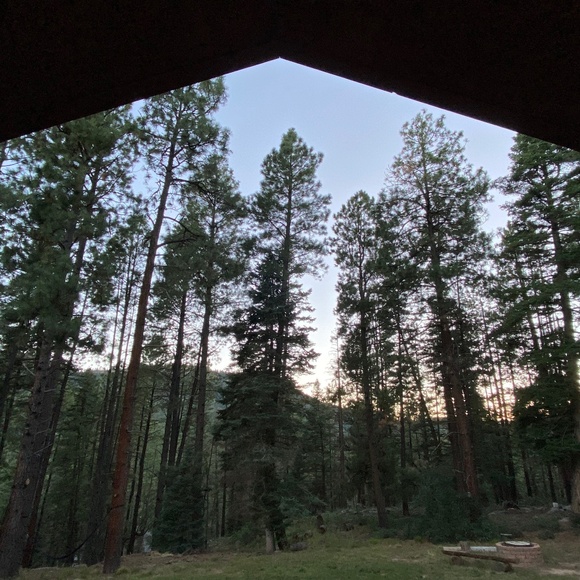 Meet your Posher, Inbal - Picture 1 of 1